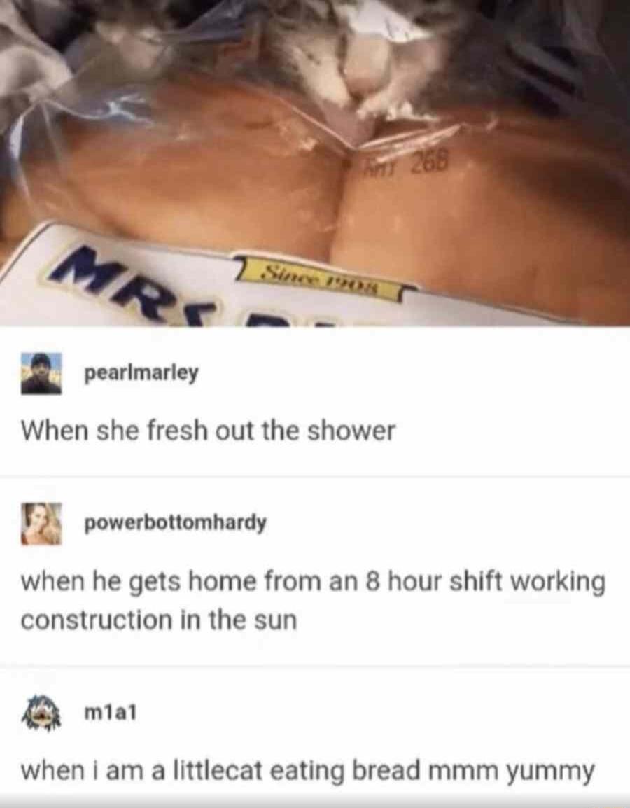 x pearimarley When she fresh out the shower Y powerbottomhardy when he gets home from an 8 hour shift working construction in the sun ma when am a littlecat eating bread mmm yummy