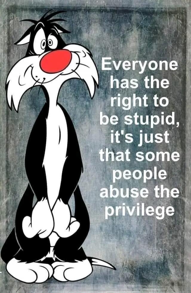 Everyone has the right to be stupid, it's just that some people abuse the privilege