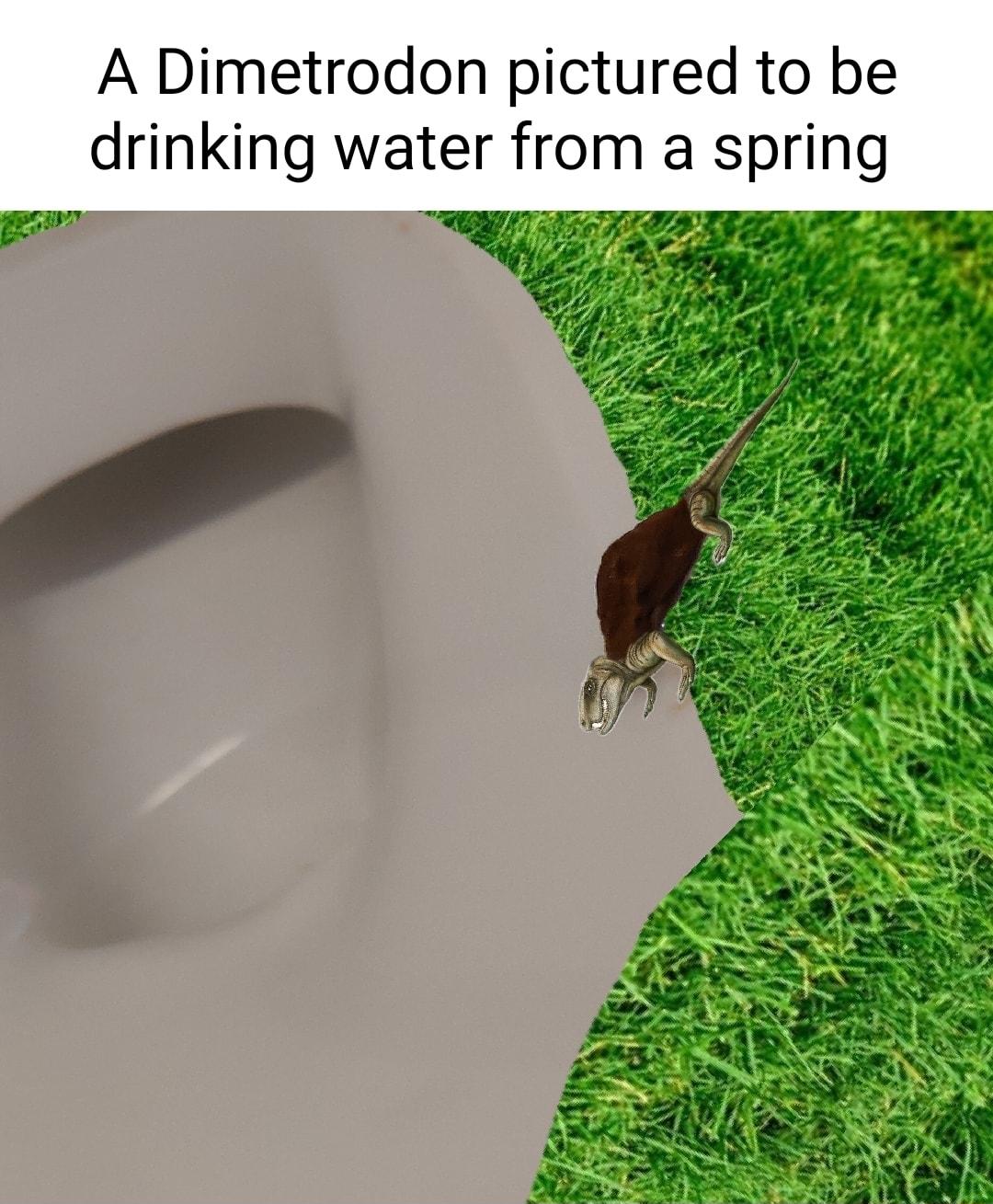 A Dimetrodon pictured to be drinking water from a spring