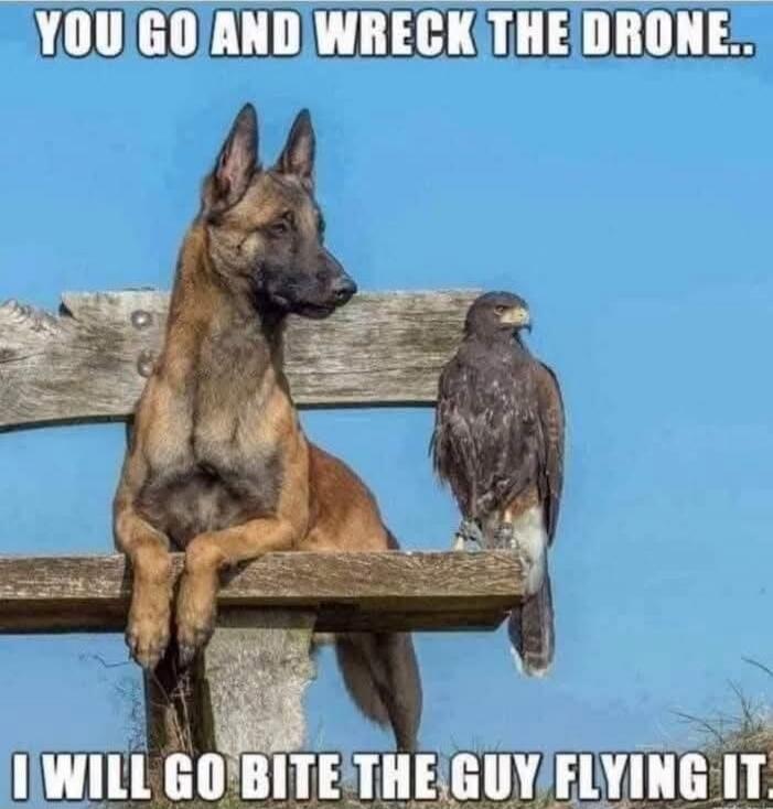 YOU GO AND WRECK THE DRONE..
I WILL GO BITE THE GUY FLYING IT