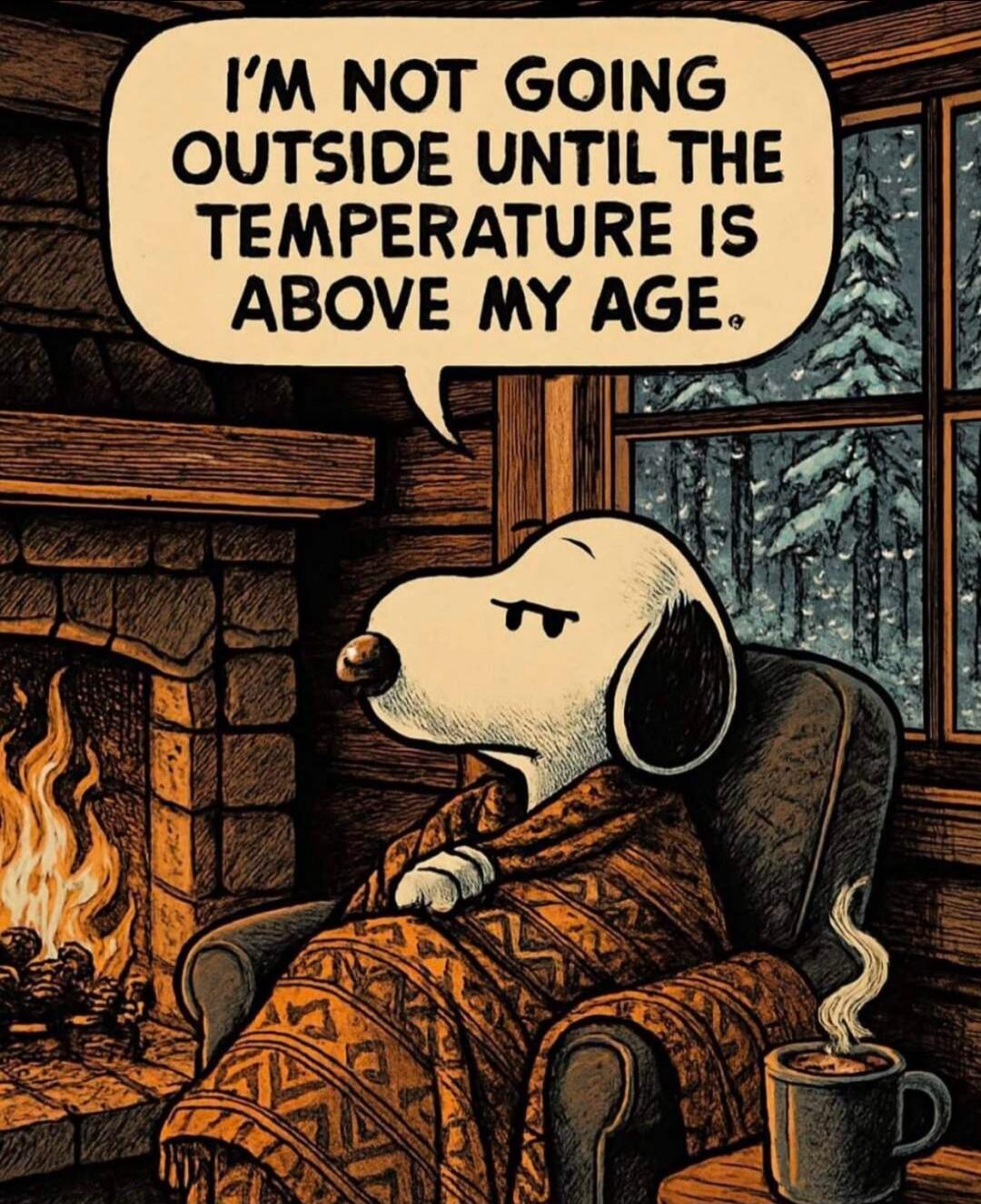 I'M NOT GOING OUTSIDE UNTIL THE TEMPERATURE IS ABOVE MY AGE.