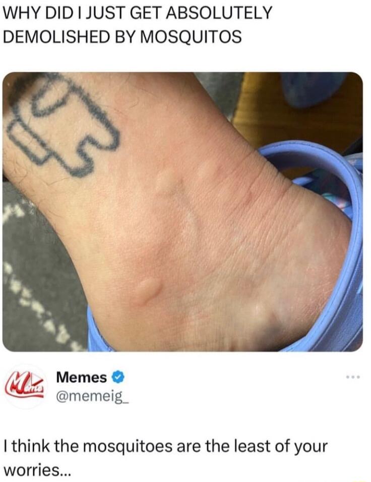 WHY DID I JUST GET ABSOLUTELY DEMOLISHED BY MOSQUITOS Memes memeig_ I think the mosquitoes are the least of your worries