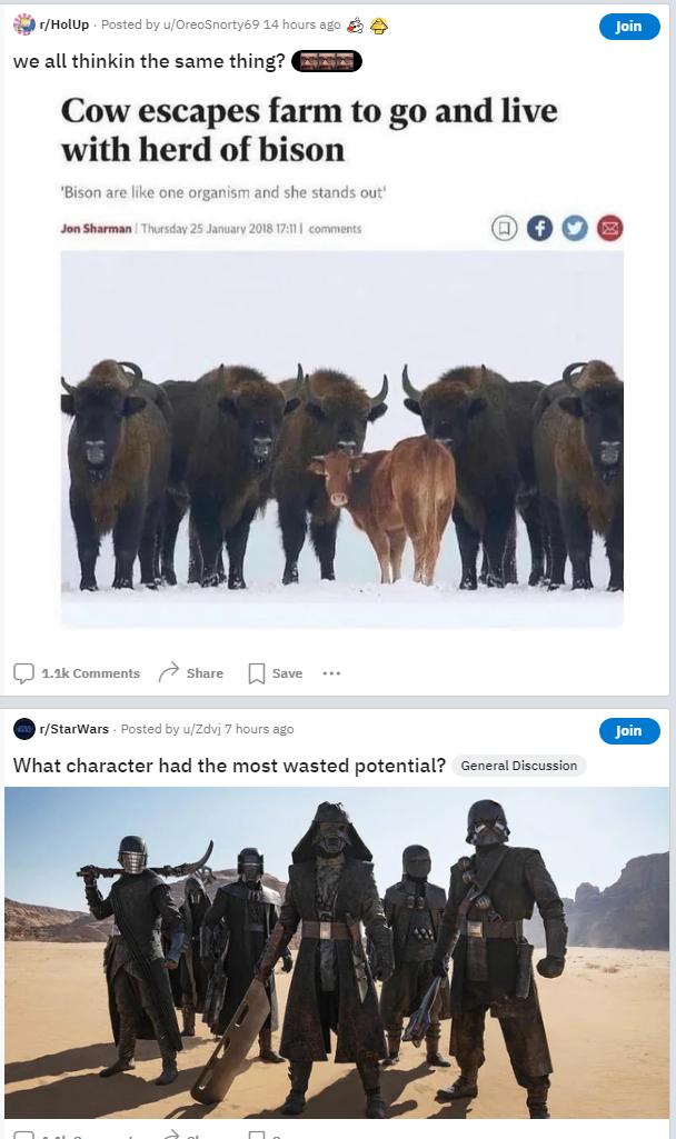 8 imetvp we allthinkin the same thing D Cow escapes farm to go and live with herd of bison P 100 What character had the most wasted potential Generibiscussion