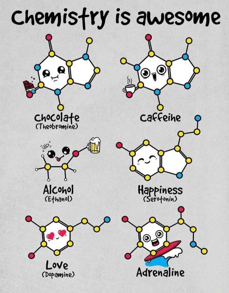 Chemistry is awesome Chocolate Alcono Nalmess CEfnancl Serofonin Dopamine Adrenaline