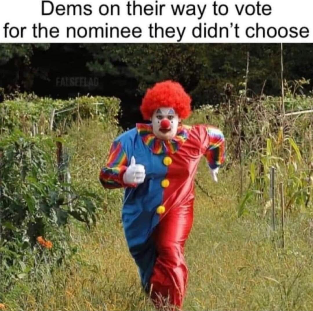 Dems on their way to vote for the nominee they didn't choose