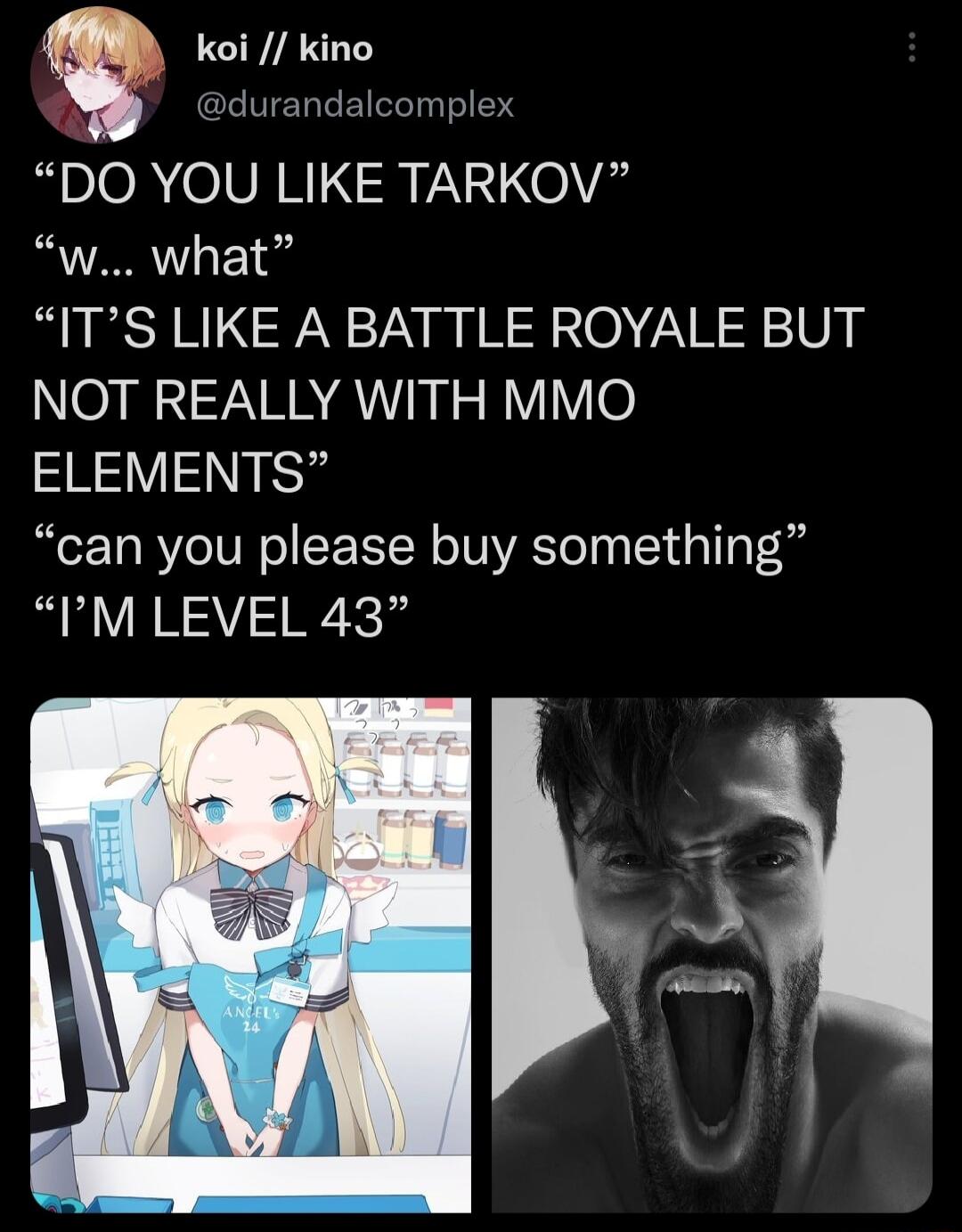 koi kino durandalcomplex DO YOU LIKE TARKOV w what ITS LIKE A BATTLE ROYALE BUT NOT REALLY WITH MMO SRIVISNIS can you please buy something IM LEVEL 43