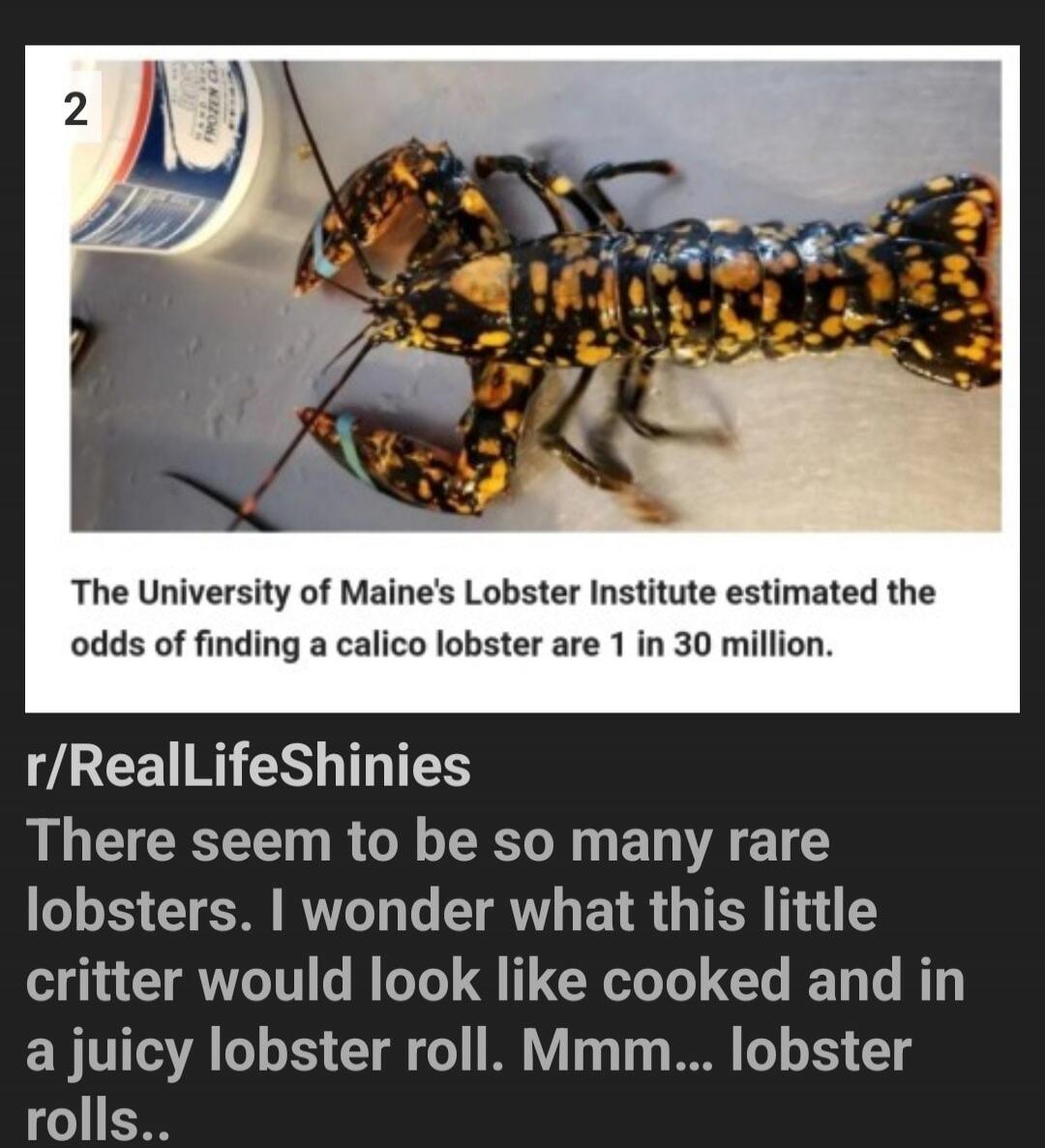 2 The University of Maine's Lobster Institute estimated the odds of finding a calico lobster are 1 in 30 million. r/RealLifeShinies There seem to be so many rare lobsters. I wonder what this little critter would look like cooked and in a juicy lobster roll. Mmm... lobster rolls..