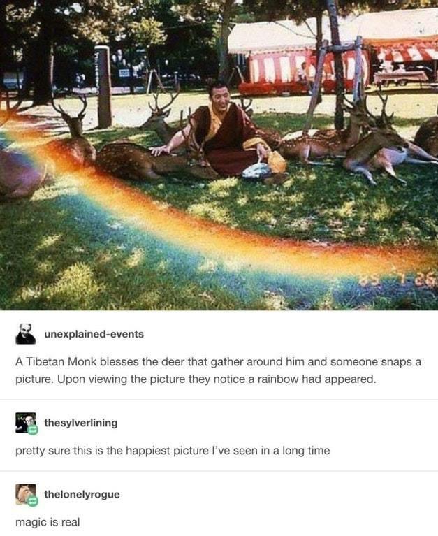 unexplained events A Tibetan Monk blesses the deer that gather around him and someone snaps a picture Upon viewing the picture they notice a rainbow had appeared g thesylverlining pretty sure this is the happiest picture Ive seen in a long time Q thelonelyrogue magic s real