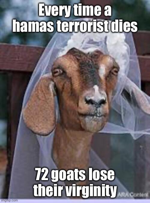 Every time a Hamas terrorist dies 72 goats lose their virginity