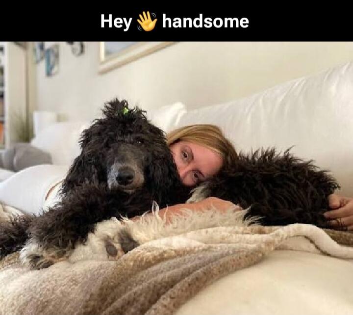 Hey 👋 handsome