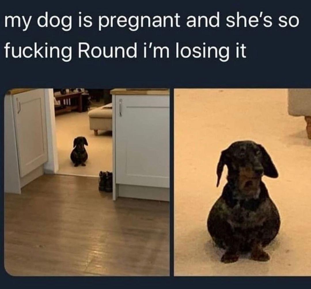 S GILIELEET 104 oTe NER oI Te g T Tale RSYa TRSRST fucking Round im losing it 120 PM 11020 Twitter Web App