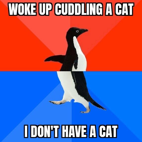X 1DONT HRVE A CAT