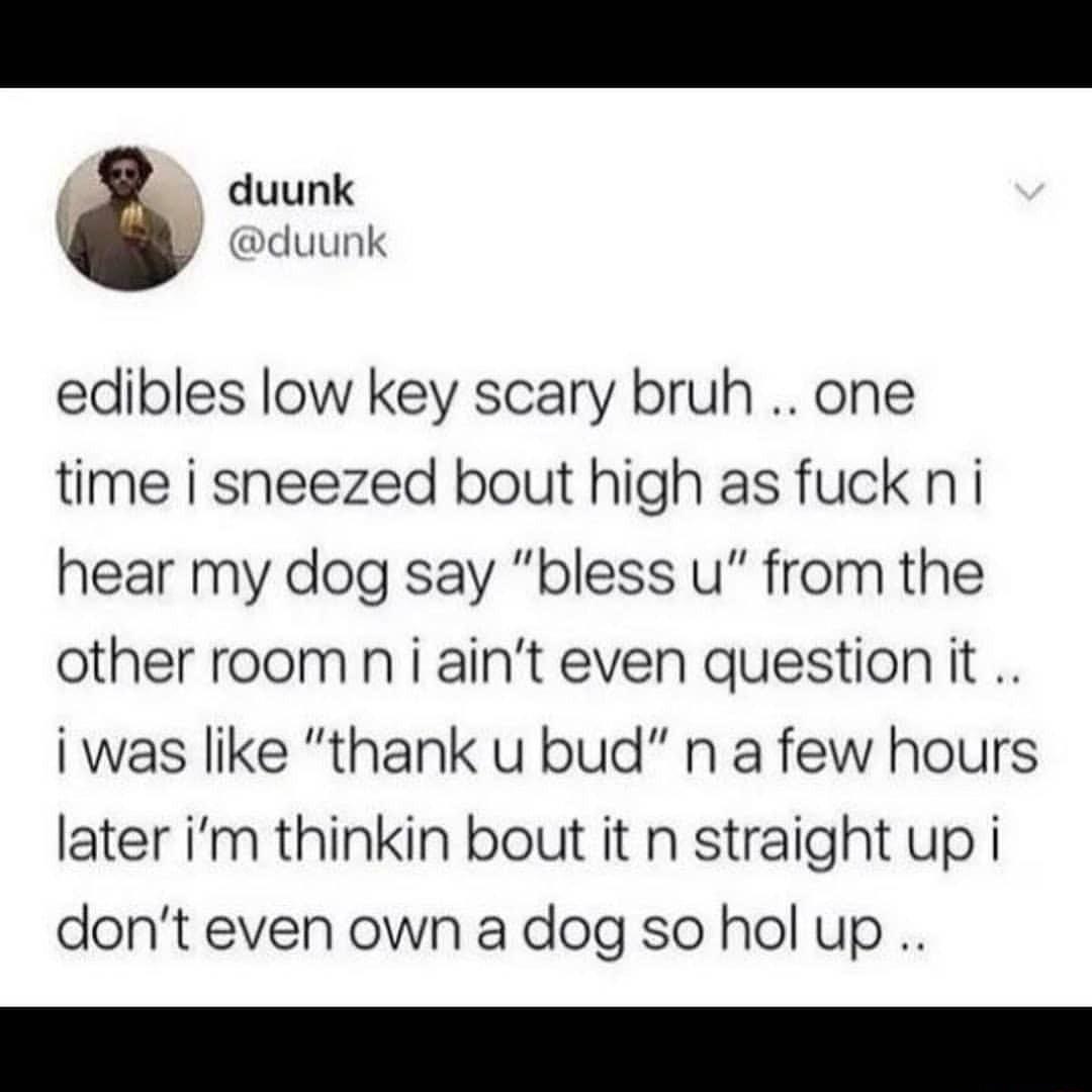 duunk il y duunk edibles low key scary bruh one time i sneezed bout high as fuck ni hear my dog say bless u from the other room niaint even questionit i was like thank u bud n a few hours later im thinkin bout it n straight up i dont even own a dog so hol up