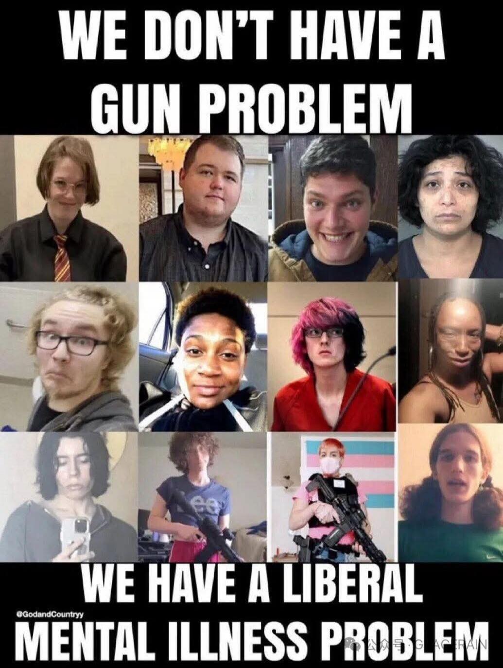 WE DON'T HAVE A GUN PROBLEM WE HAVE A LIBERAL MENTAL ILLNESS PROBLEM