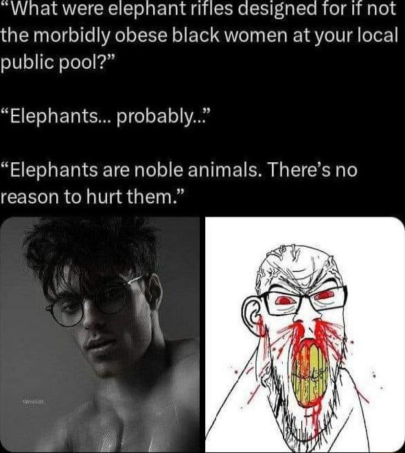 What were elephant rifies designed tor It not the morbidly obese black women at your local public pool Elephants probably Elephants are noble animals Theres no reason to hurt them