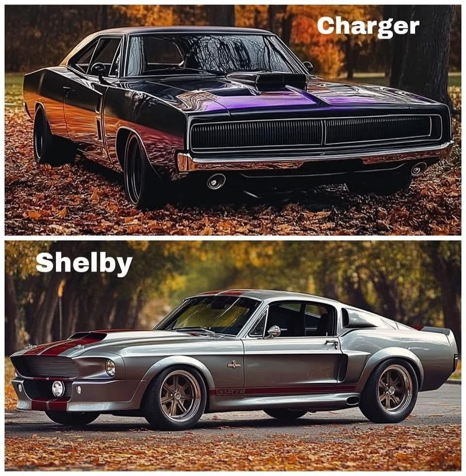 Charger, Shelby