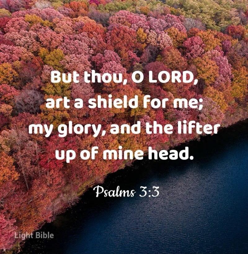 But thou, O LORD, art a shield for me; my glory, and the lifter up of mine head. Psalms 3:3