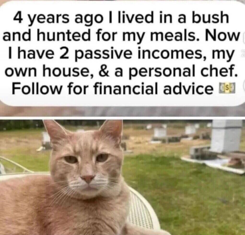 4 years ago I lived in a bush and hunted for my meals. Now I have 2 passive incomes, my own house, & a personal chef. Follow for financial advice