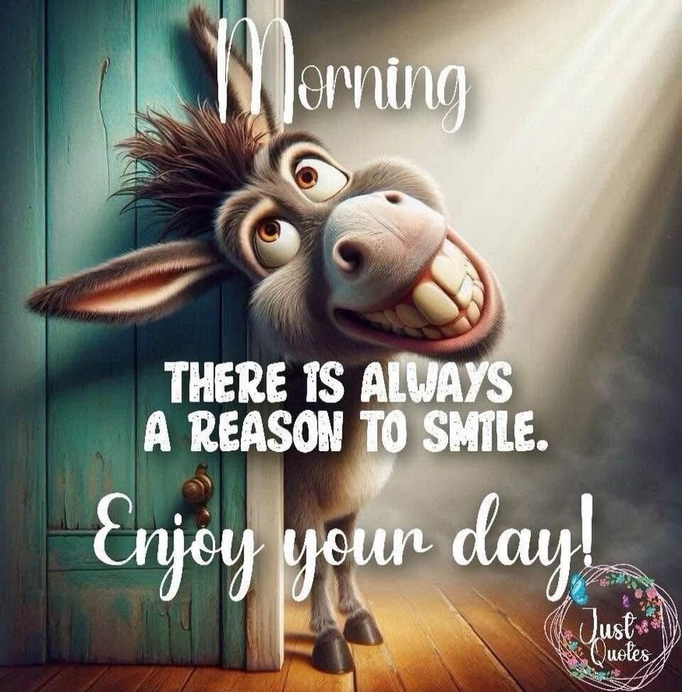 Morning. THERE IS ALWAYS A REASON TO SMILE. Enjoy your day! Just Quotes.