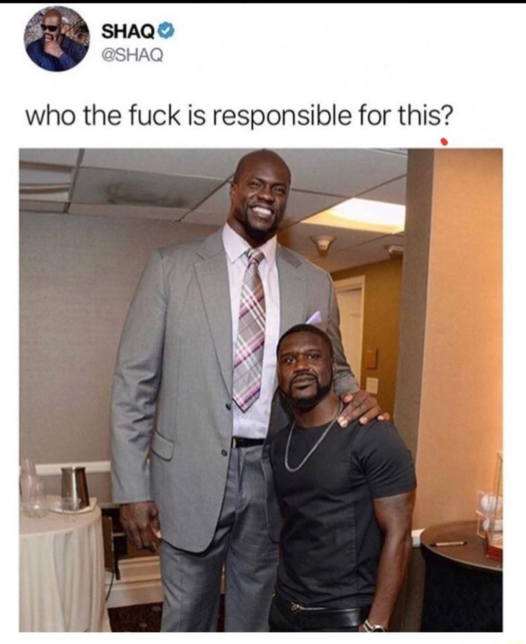 SHAQ SHAQ who the fuck is responsible for this