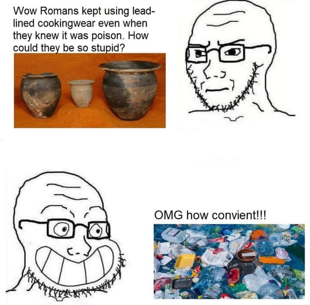 Wow Romans kept using lead lined cookingwear even when they knew it was poison How could they be so stupid OMG how convient