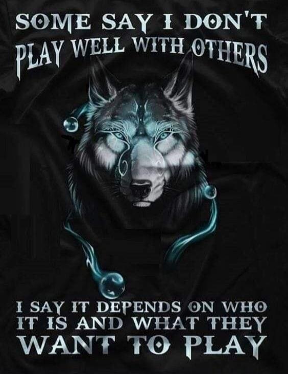 SOME SAY I DON'T PLAY WELL WITH OTHERS I SAY IT DEPENDS ON WHO IT IS AND WHAT THEY WANT TO PLAY
