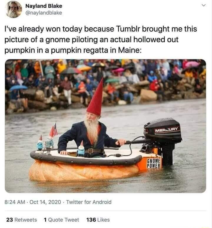 Nayland Blake onayiandblake Ive already won today because Tumblr brought me this picture of a gnome piloting an actual hollowed out pumpkin in a pumpkin regatta in Maine 824 AM Oct 14 2020 Twitter for Android 23Retweets 1Quote Tweet 136 Likes