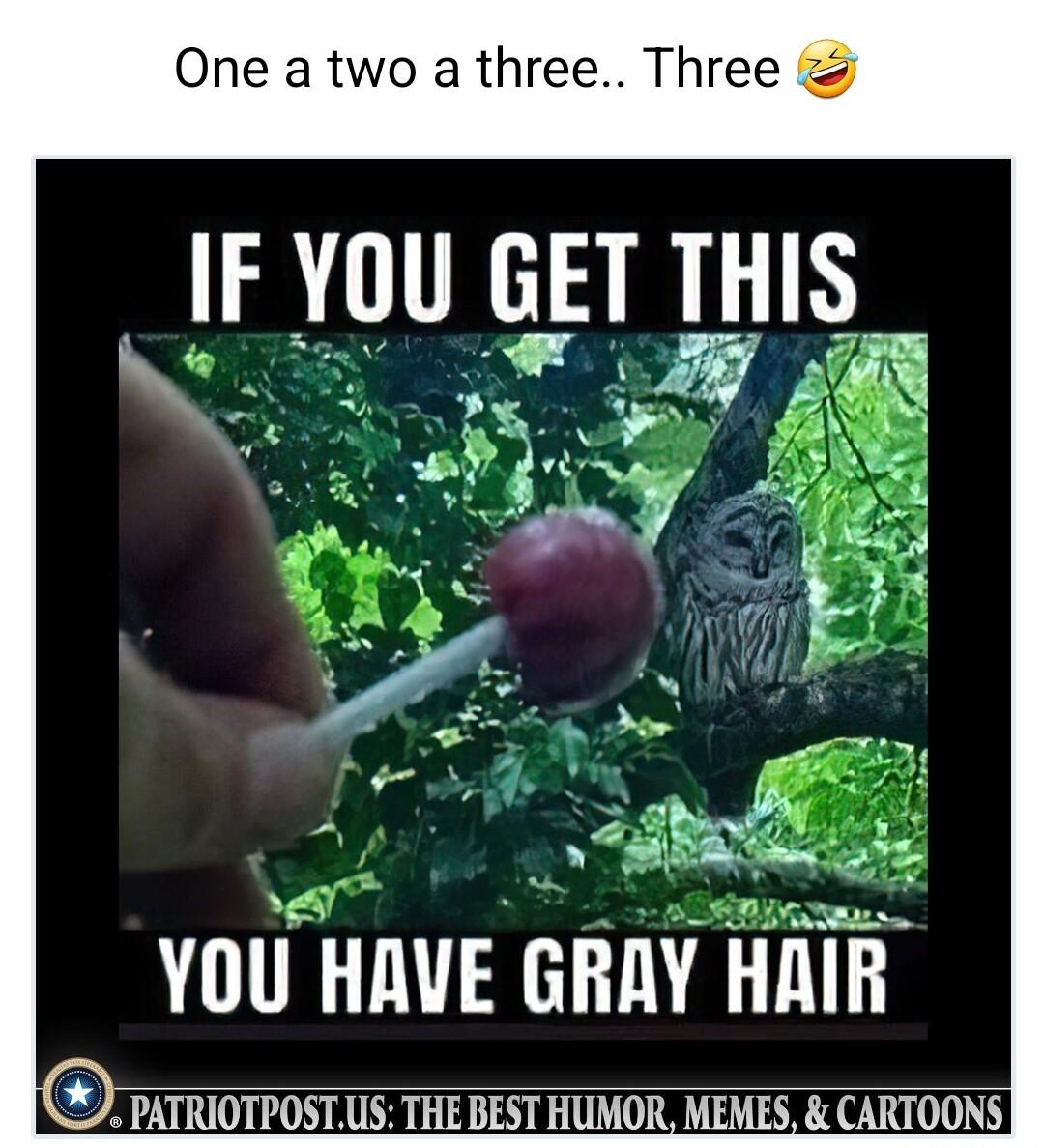One a two a three Three IF YUU GET IHIS YOU HAVE GRAY HAiR PATRIOTPOSTUIS THE BEST HUMOR MEMES CARTOONS