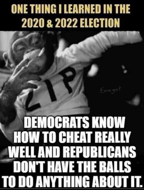 ONE THING I LEARNED IN THE 2020 & 2022 ELECTION DEMOCRATS KNOW HOW TO CHEAT REALLY WELL AND REPUBLICANS DON'T HAVE THE BALLS TO DO ANYTHING ABOUT IT.