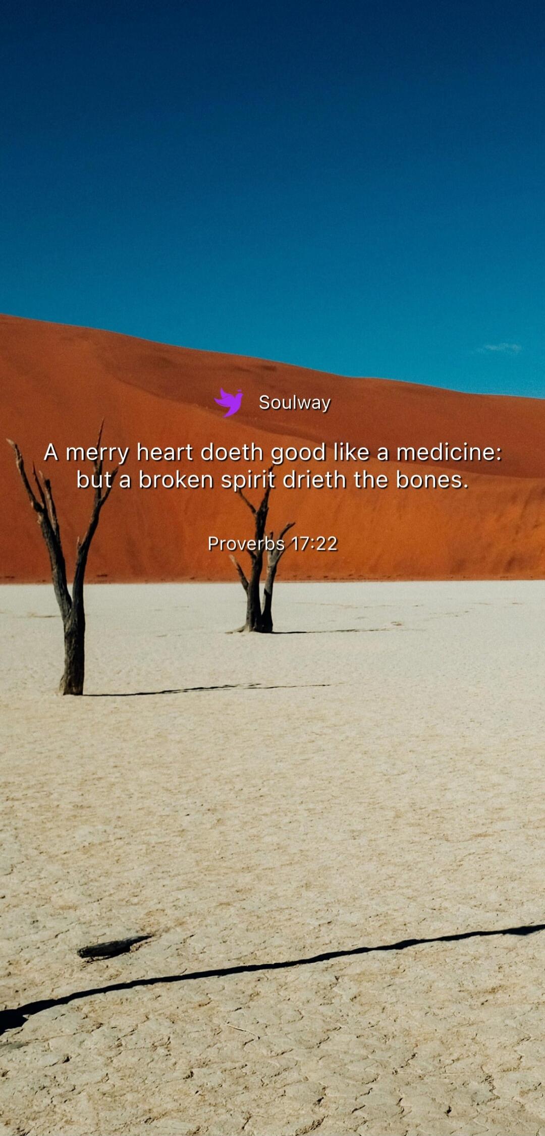 Soulway A merry heart doeth good like a medicine: but a broken spirit drieth the bones. Proverbs 17:22