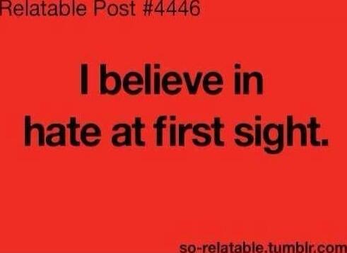 I believe in hate at first sight.