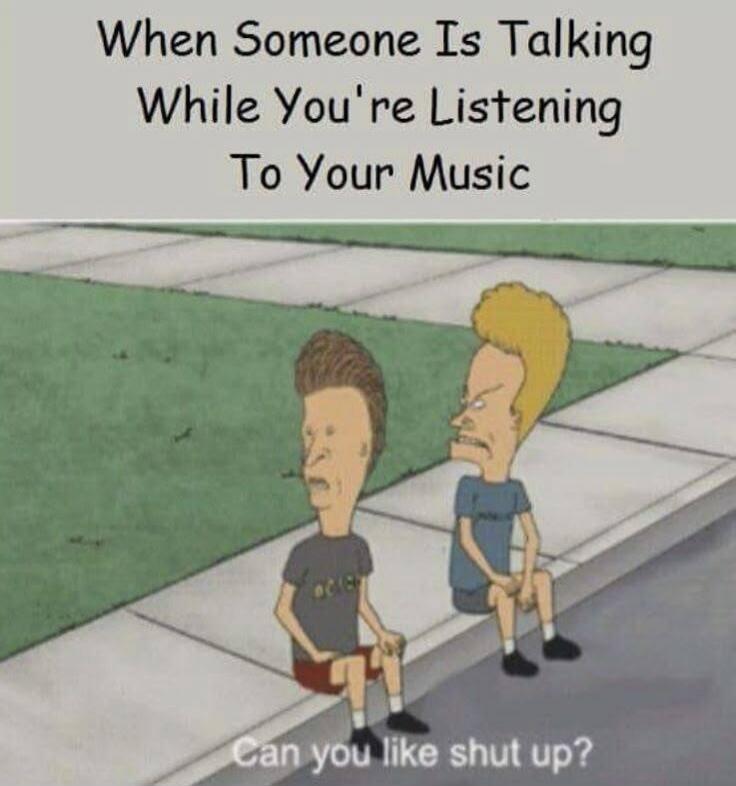 When Someone Is Talking While You're Listening To Your Music Can you like shut up?