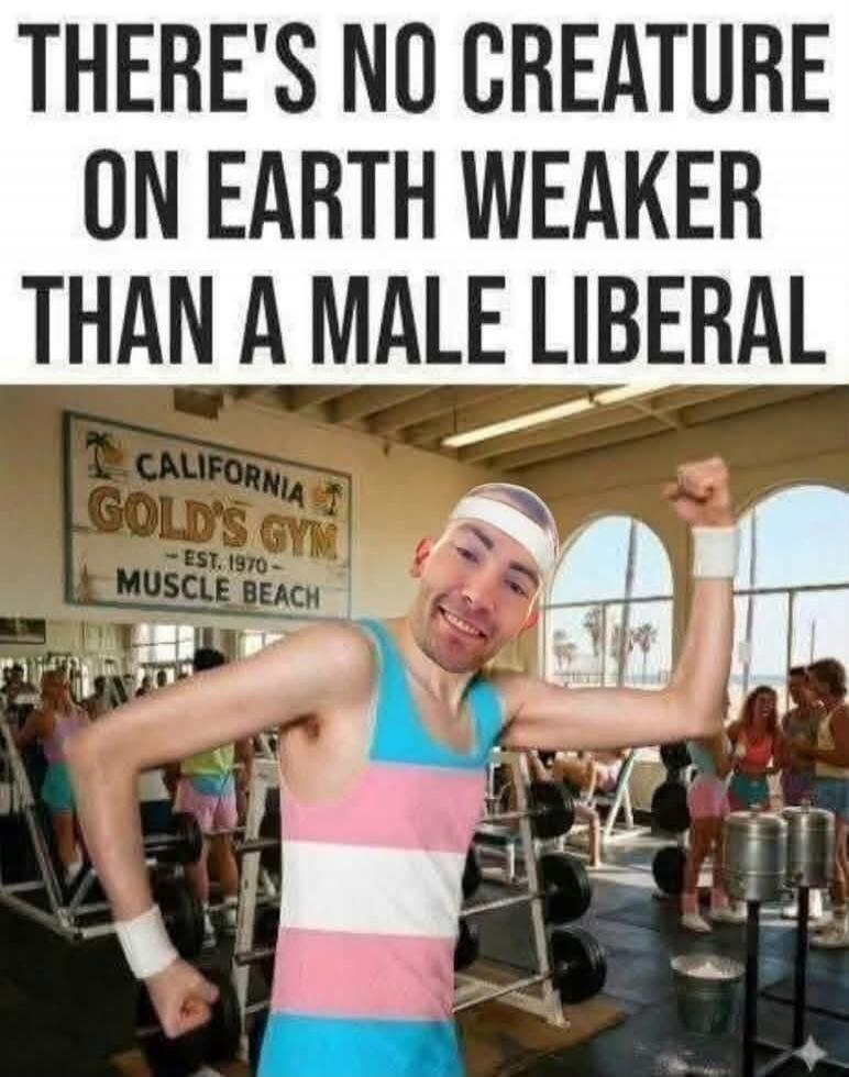 THERE'S NO CREATURE ON EARTH WEAKER THAN A MALE LIBERAL CALIFORNIA GOLD'S GYM - EST. 1970 - MUSCLE BEACH