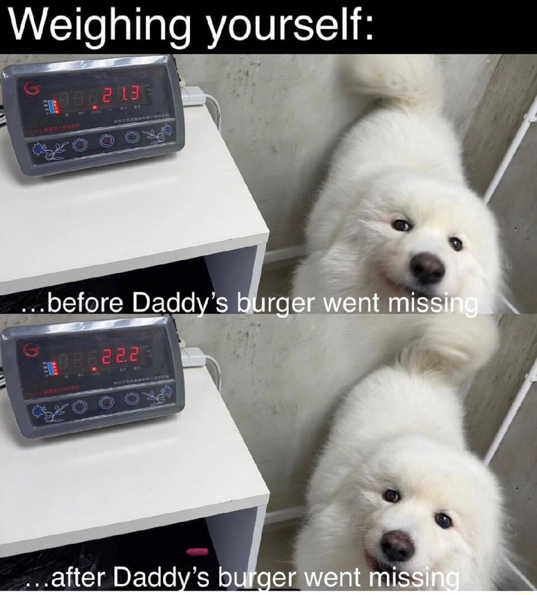 Weihing yourself after Daddys bufge