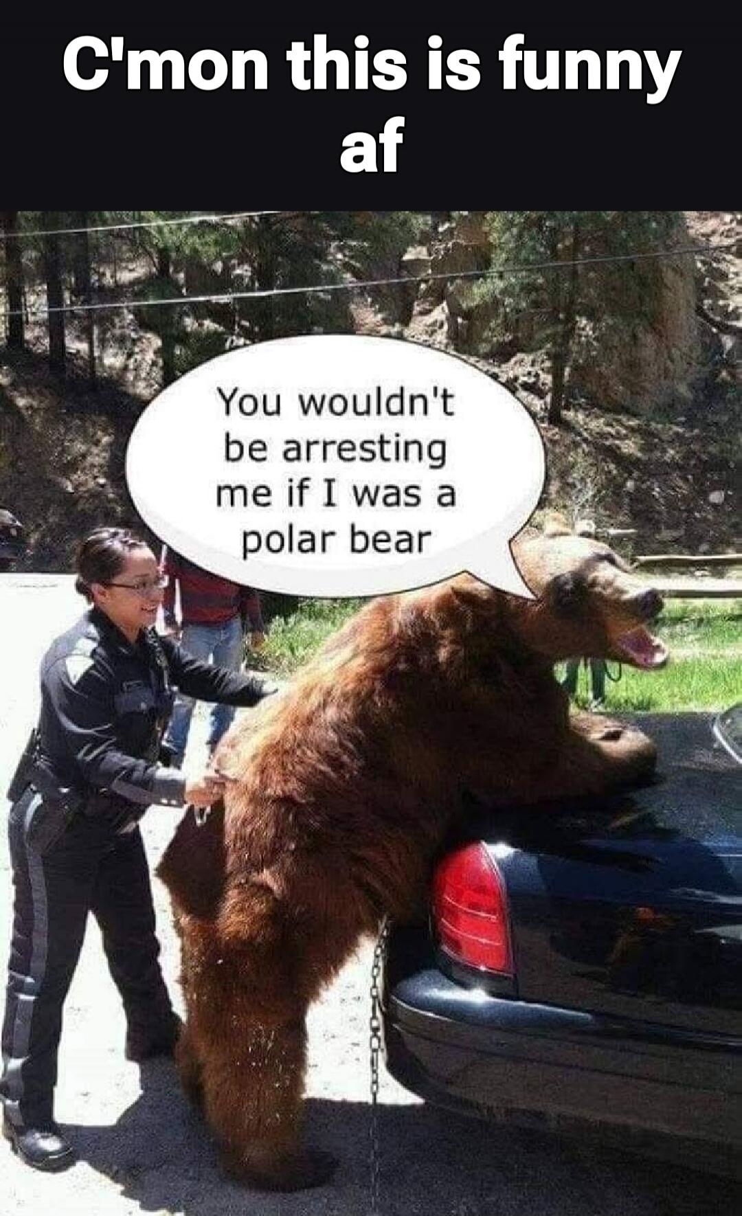 C'mon this is funny af
You wouldn't be arresting me if I was a polar bear