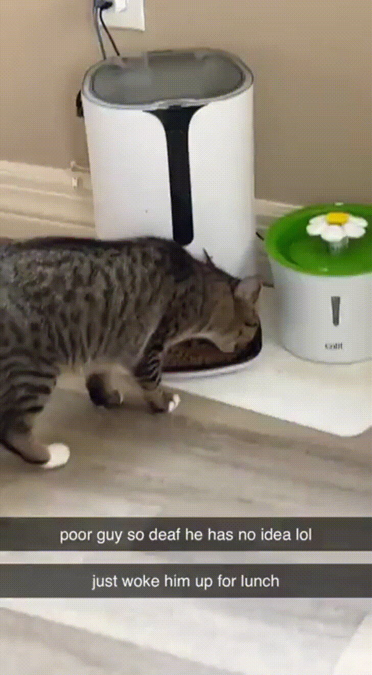 elele I VAT N CE U T R o e CER 4 just woke him up for lunch