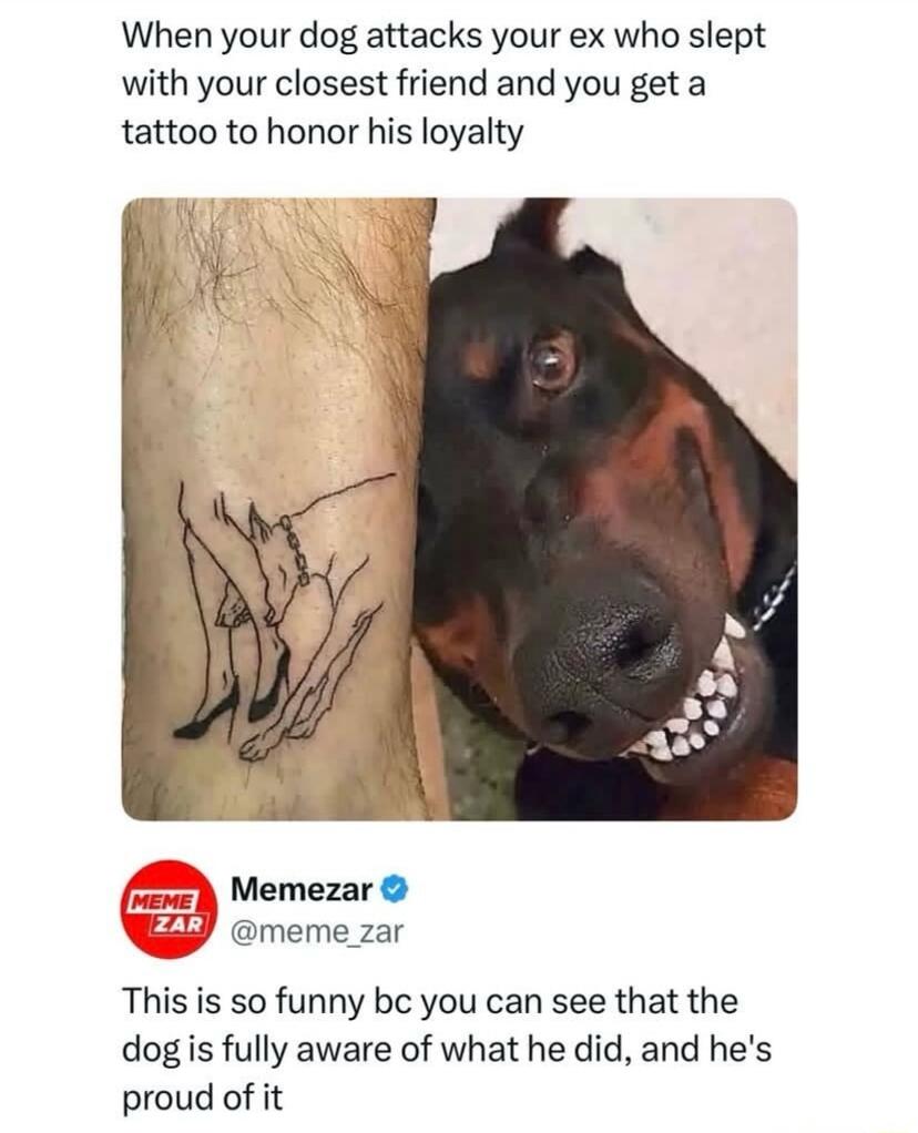When your dog attacks your ex who slept with your closest friend and you get a tattoo to honor his loyalty MemeZAR @meme_zar This is so funny bc you can see that the dog is fully aware of what he did, and he's proud of it