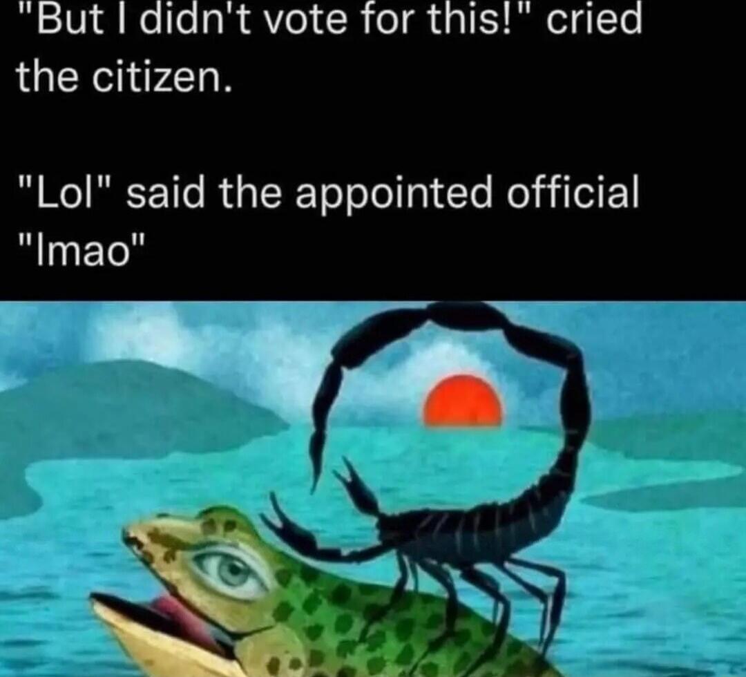 But didnt vote for this cried the citizen Lol said the appointed official Imao