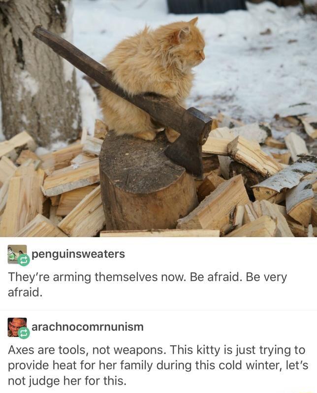 58 enguinsweaters Theyre arming themselves now Be afraid Be very afraid Earachnncomrnunism Axes are tools not weapons This kitty is just trying to provide heat for her family during this cold winter lets not judge her for this