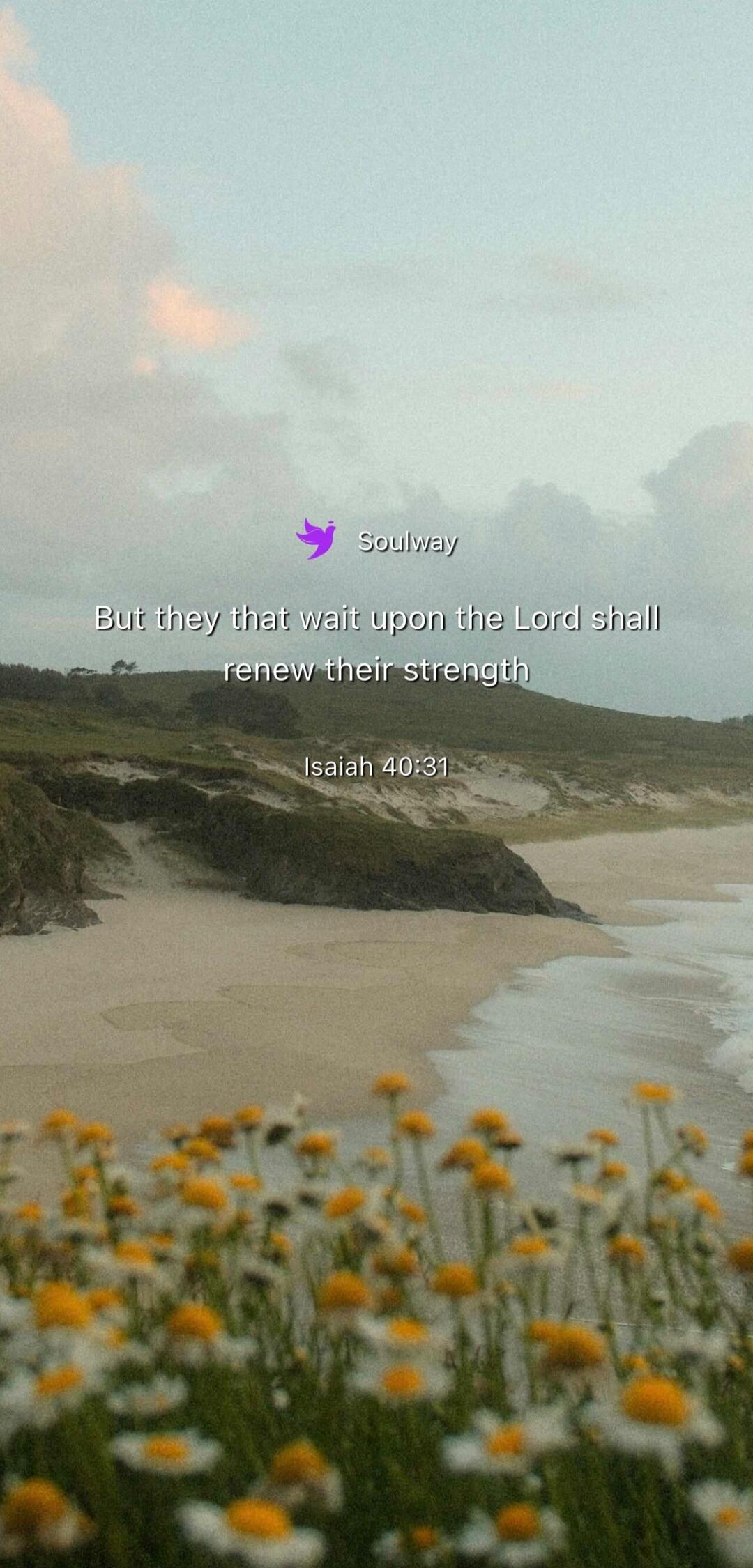Soulway But they that wait upon the Lord shall renew their strength Isaiah 40:31