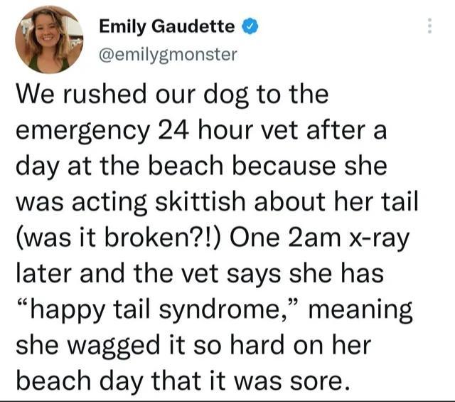 G Emily Gaudette emilygmonster We rushed our dog to the emergency 24 hour vet after a day at the beach because she was acting skittish about her tail was it broken One 2am x ray later and the vet says she has happy tail syndrome meaning she wagged it so hard on her beach day that it was sore