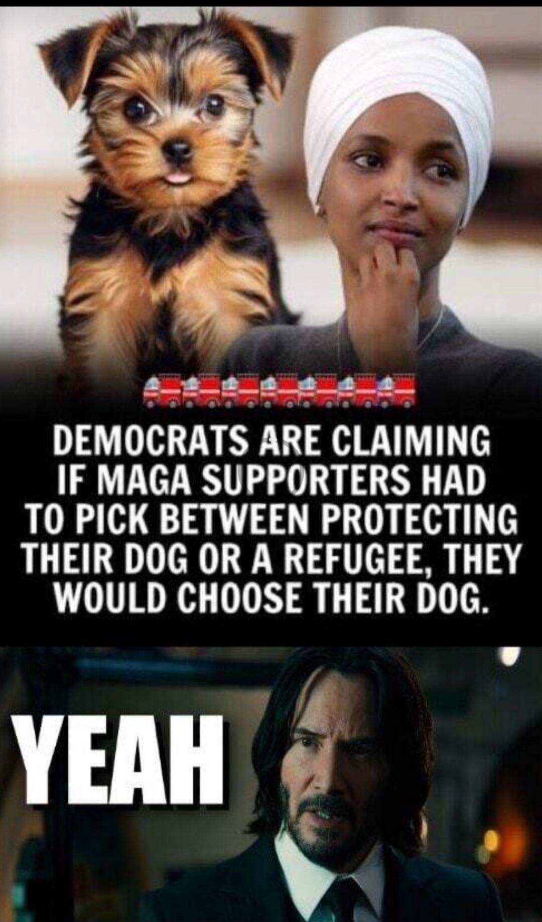 DEMOCRATS ARE CLAIMING IF MAGA SUPPORTERS HAD TO PICK BETWEEN PROTECTING THEIR DOG OR A REFUGEE, THEY WOULD CHOOSE THEIR DOG. YEAH