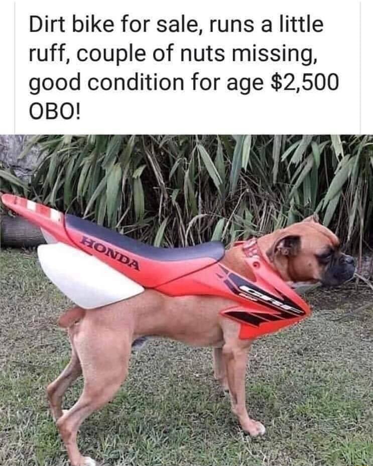 Dirt bike for sale runs a little ruff couple of nuts missing good condition for age 2500