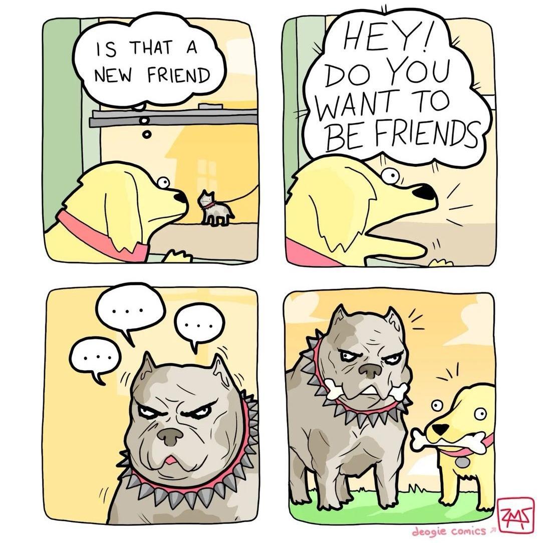 e IS THAT A NEW FRIEND Q ol