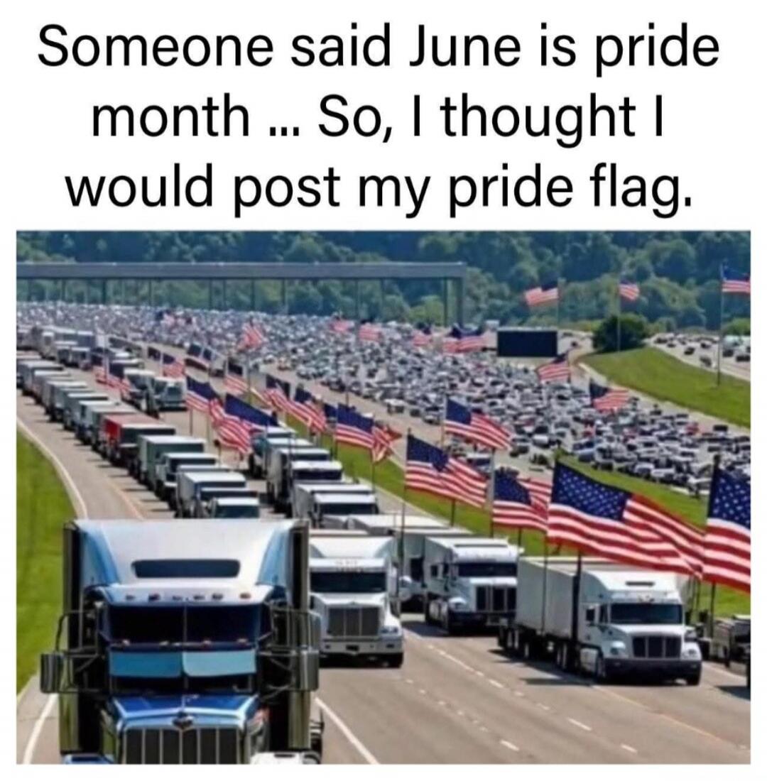 Someone said June is pride month ... So, I thought I would post my pride flag.