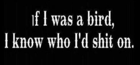 If I was a bird, I know who I'd shit on.