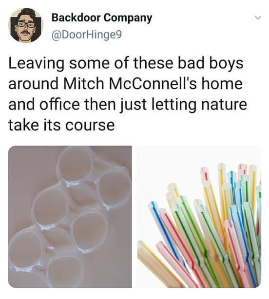 Backdoor Company v DoorHinge9 Leaving some of these bad boys around Mitch McConnells home and office then just letting nature take its course