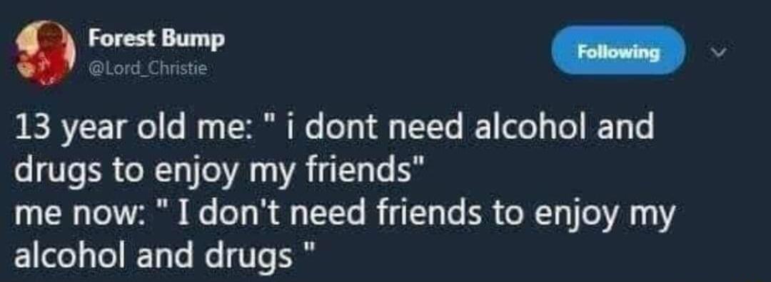 s 13 year old me i dont need alcohol and drugs to enjoy my friends me now I dont need friends to enjoy my ELlele TelJETyTe e VT