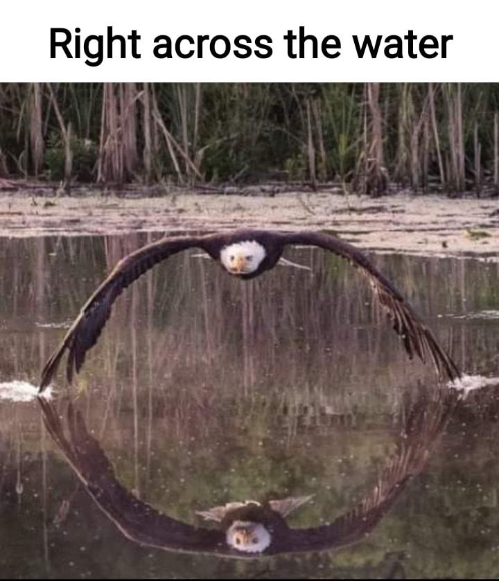 Right across the water