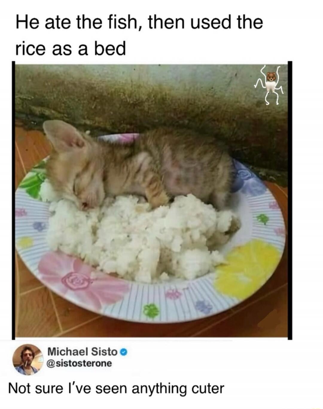 He ate the fish, then used the rice as a bed. Not sure I've seen anything cuter.